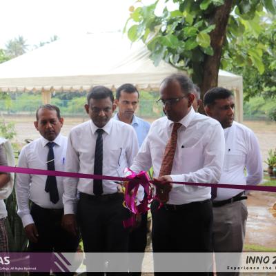 The Exhibition Grounds Are Open