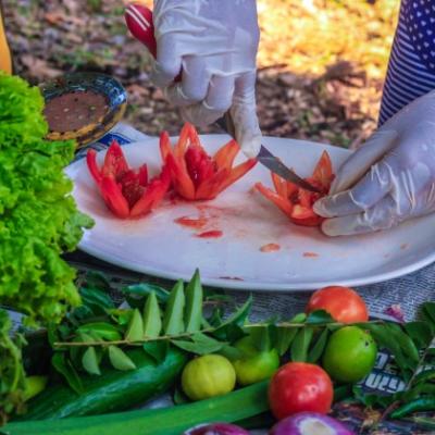 Food Festival