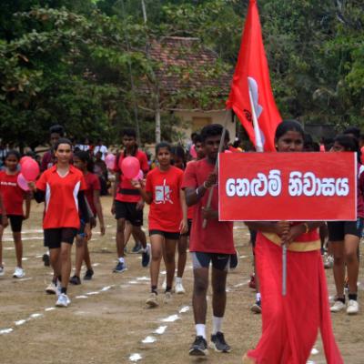 නෙලුම්